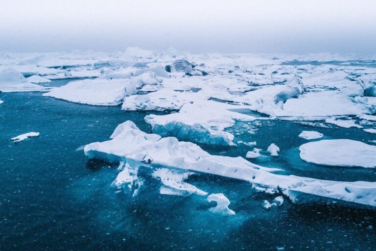 Polar Deserts in Antarctica and the Arctic: Unveiling the Frozen Wastelands